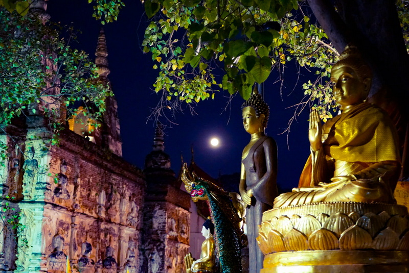 Night View of Statues and Moon at Wat Jed Yod Buddha statues and a dragon sculpture under a tree with a full moon in the night sky at Wat Jed Yod.
