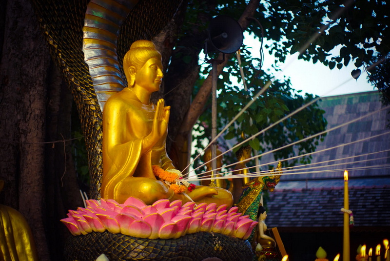 Golden Buddha at Wat Jed Yod Golden Buddha statue with prayer hands on pink lotus pedestal, candles and trees around at Wat Jed Yod.