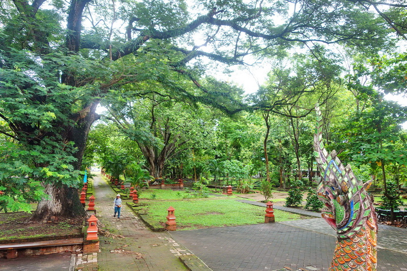 Pathway lined with large trees and a colorful serpent sculpture in a green park at Wat Jed Yod.