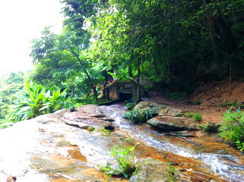 Stream flowing over rocks amid lush jungle greenery and trees at Wat Pha Lad.
