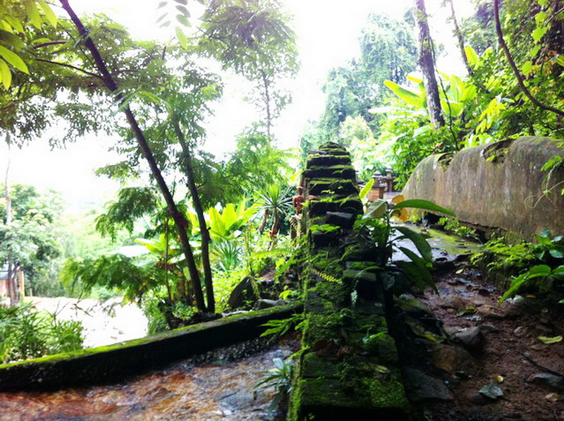 A moss-covered stone trail with lush greenery and trees on either side at Wat Pha Lad.
