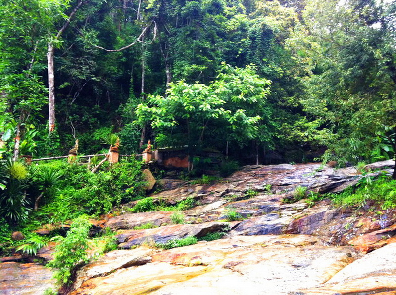 Stream flowing over rocks amidst dense green forest with trees and plants at Wat Pha Lad.