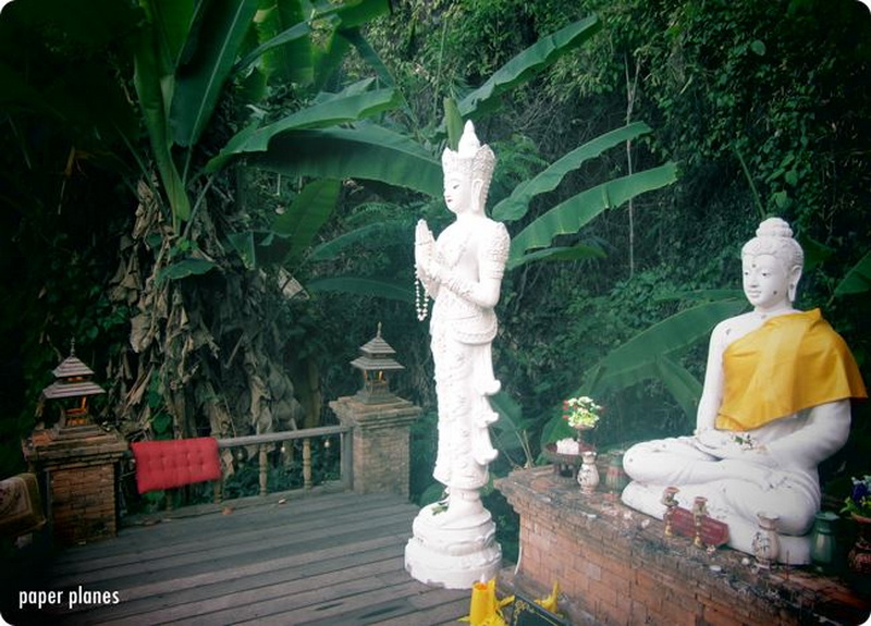 Two Buddha statues amid lush green leaves and tropical plants at Wat Pha Lad.