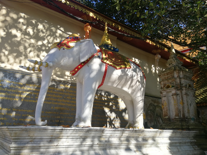 White elephant statue adorned with red and gold decorations in sunlight with temple structures nearby at Wat Phra That Doi Suthep.