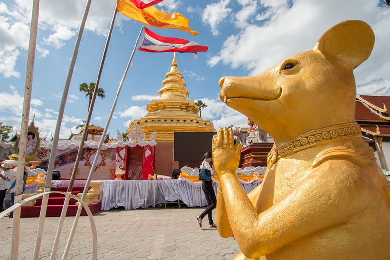 Golden mouse statue with folded hands in front of a gold stupa and flags underneath a blue sky at Wat Phra That Sri Chom Thong.
