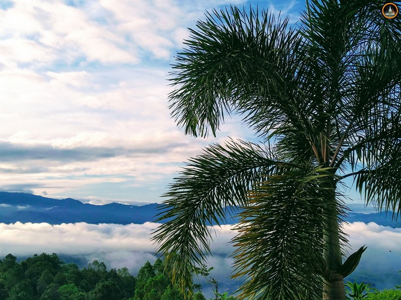 Tropical Mountain Landscape at Tha Ton Temple Tall palm tree against mountains and cloudy sky in a lush landscape at Tha Ton Temple.