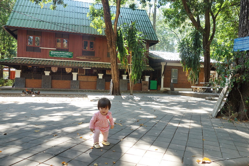 Child standing on a tiled pathway with trees and a wooden building behind at Wat Umong.