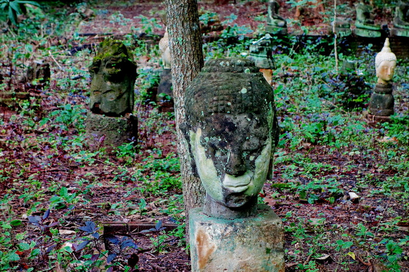 Weathered stone Buddha head sculptures surrounded by trees and foliage at Wat Umong.