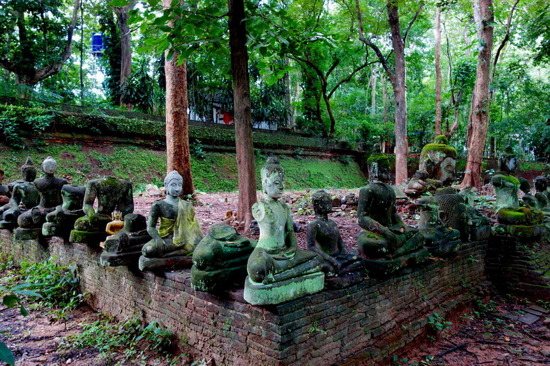Row of weathered Buddhist statues sitting outdoors among green trees and foliage at Wat Umong.