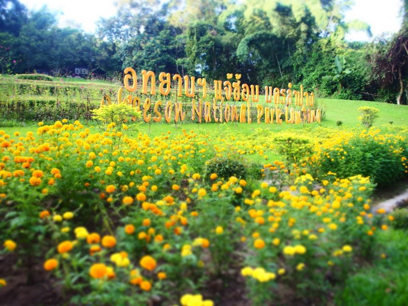 Colorful Flower Garden at Chae Son National Park Garden with colorful flowers, sign, and lush green trees in background at Chae Son National Park.