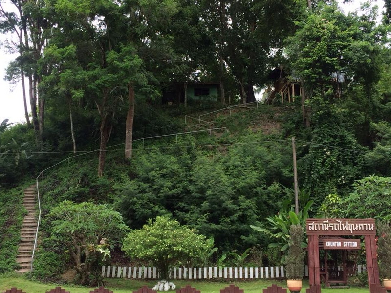 Lush Hillside Trail in the Park at Doi Khun Tan National Park Staircase leading up a leafy hillside with trees and a wooden sign in a park setting at Doi Khun Tan National Park.