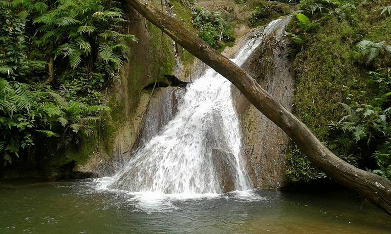 Serene Forest Waterfall at Doi Khun Tan National Par Small waterfall cascading into a pool surrounded by dense greenery and mossy rocks at Doi Khun Tan National Par.