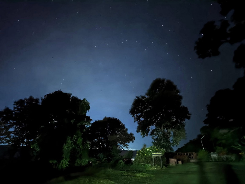 Night sky filled with stars above dark silhouettes of trees and a grassy landscape at Doi Khun Tan National Par.