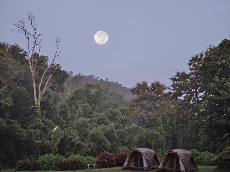 Two tents on grass with trees and full moon in the sky at night at Doi Khun Tan National Par.