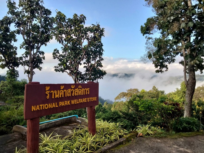 National Park Welfare Store Sign at Doi Khun Tan National Park Wooden sign in front of trees with mountain and mist in background at Doi Khun Tan National Park.