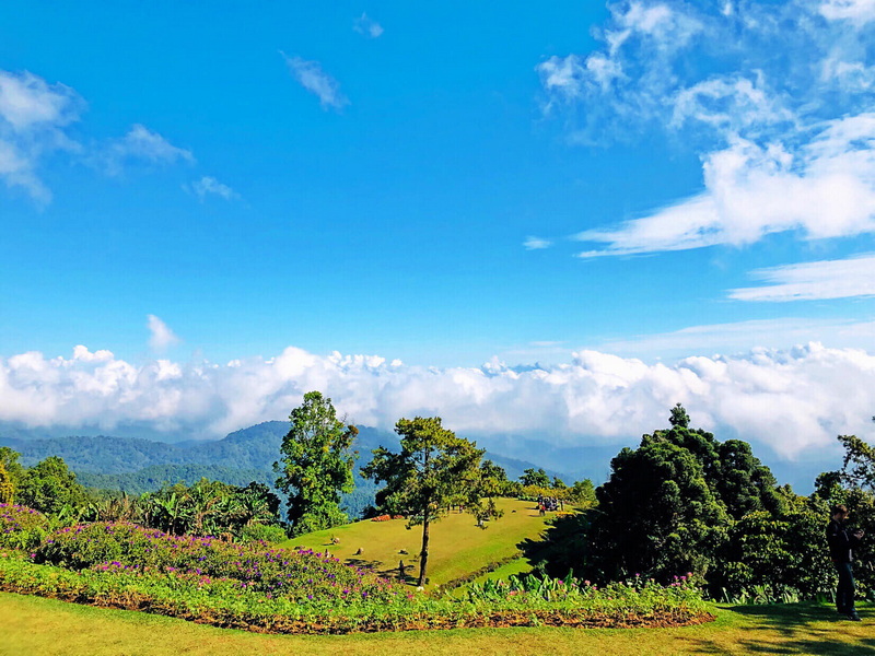 Scenic hillside with trees and flowers under a bright blue sky and clouds at Huai Nam Dang National Park.