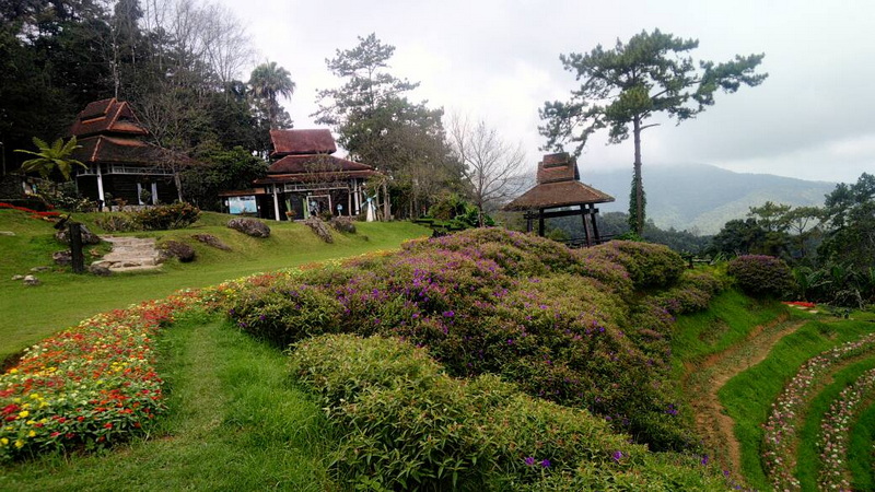 A lush garden with colorful flowers, traditional buildings, and tall trees at Huai Nam Dang National Park.