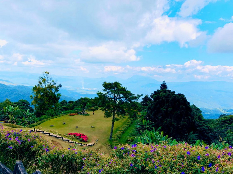 Scenic Garden Overlooking Mountains at Huai Nam Dang National Park A lush garden with colorful flowers and trees overlooking mountain scenery at Huai Nam Dang National Park.