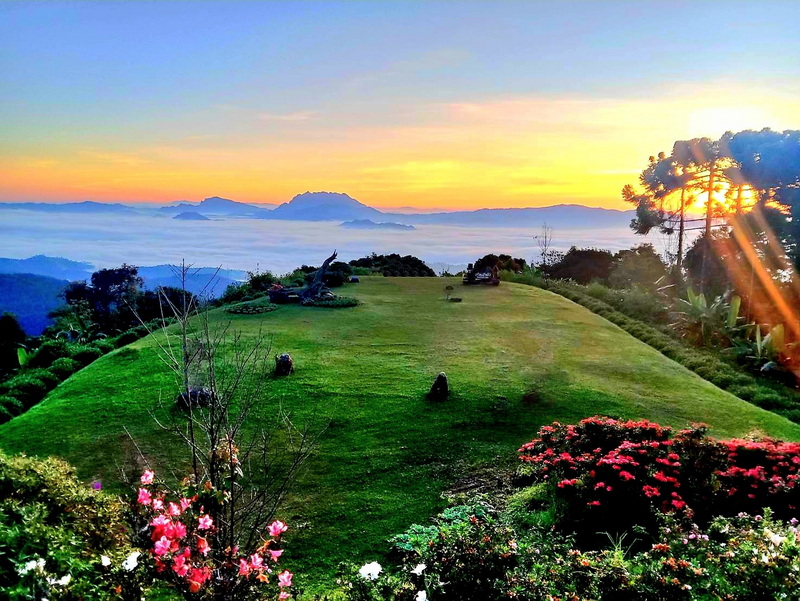 Sunset View from Hilltop at Huai Nam Dang National Park Green hilltop with stones and flowers overlooking clouds and distant mountains at sunset at Huai Nam Dang National Park.