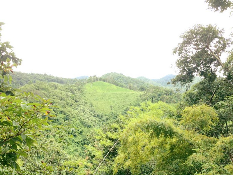 Green mountain landscape with dense trees and rolling hills at Huai Nam Dang National Park.