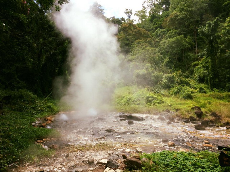 Steam rising from a hot spring surrounded by dense green trees and rocks at Huai Nam Dang National Park.