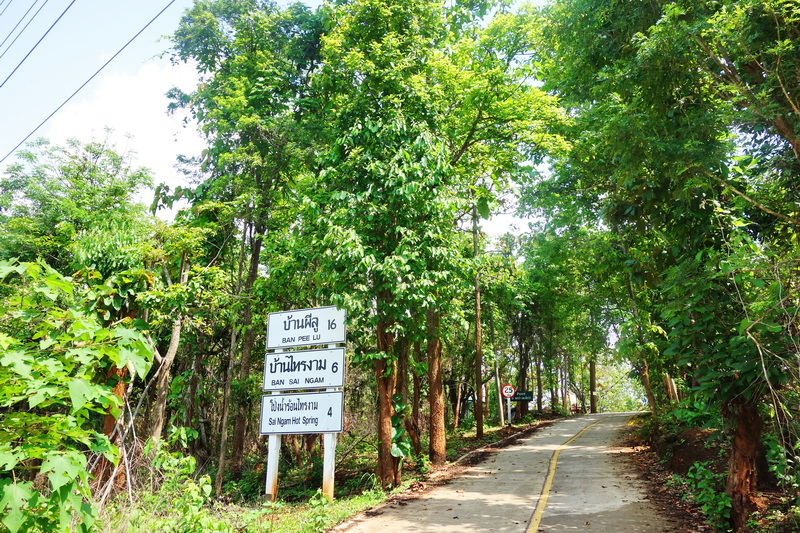 Travel photograph selected for Sai Ngam Hot Spring destination guide, Sai Ngam Hot Spring main article view 2 2