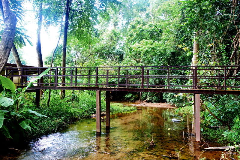 Travel photograph selected for Sai Ngam Hot Spring destination guide, Sai Ngam Hot Spring main article view 2 2
