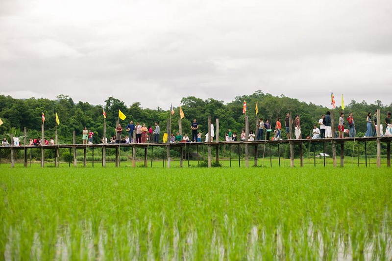 People walk on a wooden bridge over a lush green rice paddy field under cloudy sky at Su Tong Pae Bridge.
