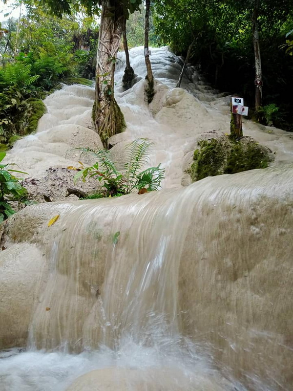 Water flow over smooth rocks with lush green plants surrounding it at Bua Tong Sticky Waterfall.
