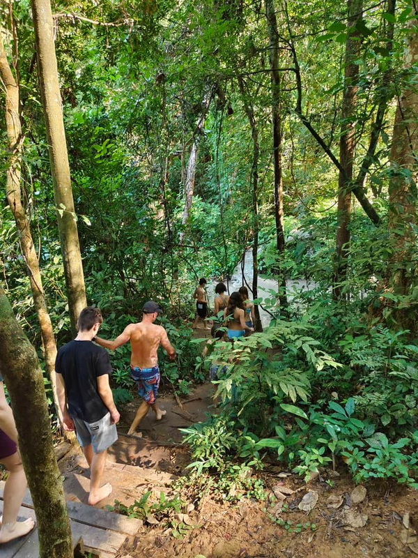 People walking down a wooden staircase through lush forest greenery at Bua Tong Sticky Waterfall.