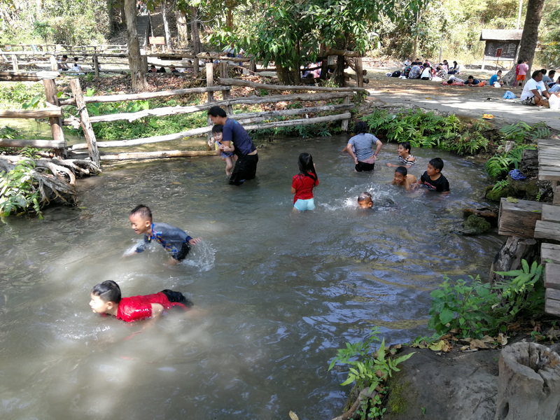 Stream Play Scene at Bua Tong Sticky Waterfall Children and adults enjoying in a shallow stream with trees and wooden fences around at Bua Tong Sticky Waterfall.