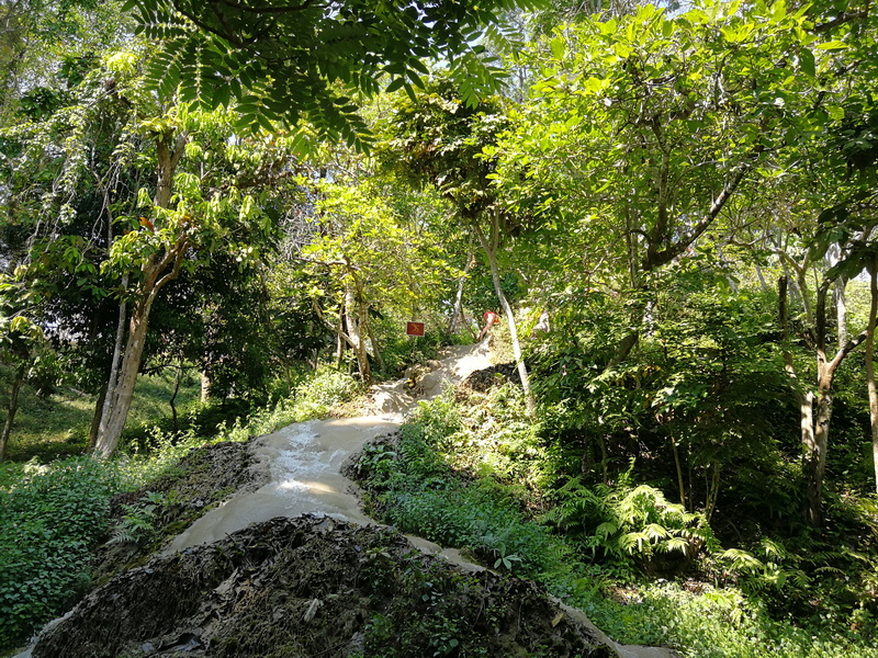 A small waterfall flowing over rocks amidst dense green trees and foliage at Buatong Waterfall.
