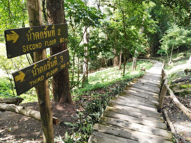 Forest Trail to Waterfall at Bua Tong Sticky Waterfall Wooden trail through dense forest with a signpost showing directions and distances at Bua Tong Sticky Waterfall.