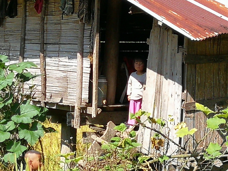Young Girl in Wooden House at Doi Inthanon National Park Girl standing in doorway of rustic wooden house with plants around it at Doi Inthanon National Park.