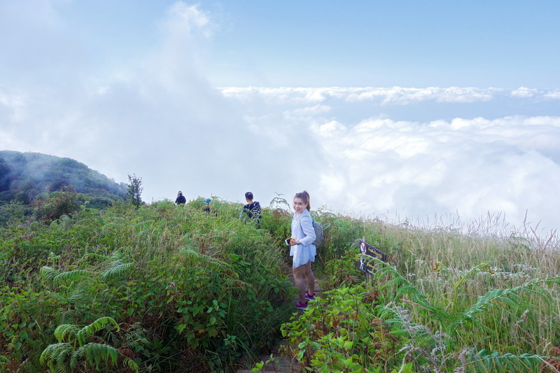 Hikers walking on a trail with cloud-covered mountains in the background at Doi Inthanon National Park.