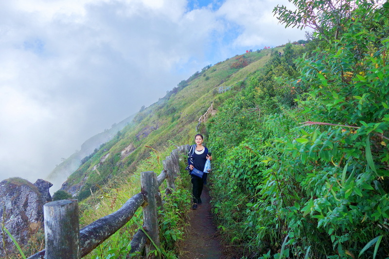 Person walking along a mountain trail surrounded by lush green shrubs and wooden railings at Doi Inthanon National Park.