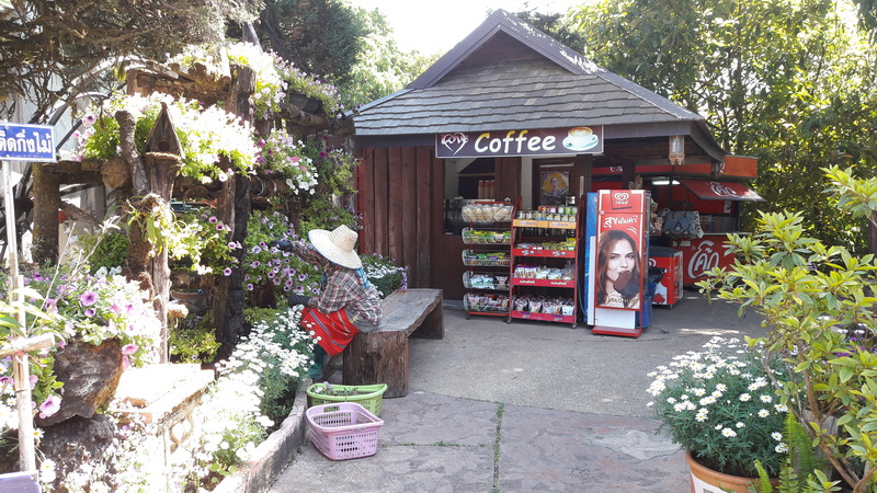 Flower-filled Coffee Stand Scene at King and Queen Pagodas Woman sitting on a bench surrounded by flowers near a small coffee kiosk with vending machines at King and Queen Pagodas.