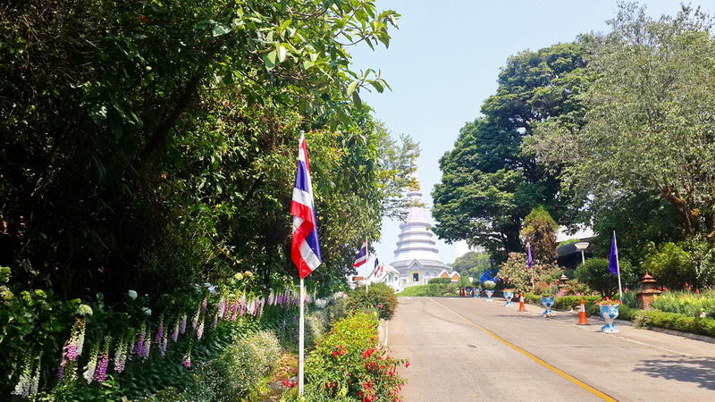 Path Towards Pagoda at King and Queen Pagodas Doi Inthanon A pathway with flags and plants leading to a distant pagoda among trees and blue sky at King and Queen Pagodas Doi Inthanon.