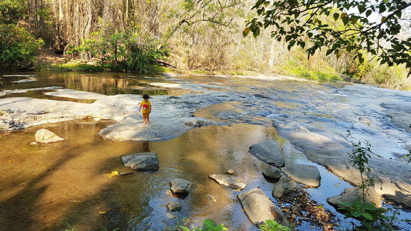 Child in Shallow River at Doi Inthanon National Park Child standing on a flat rock in a shallow river with trees overhead at Doi Inthanon National Park.