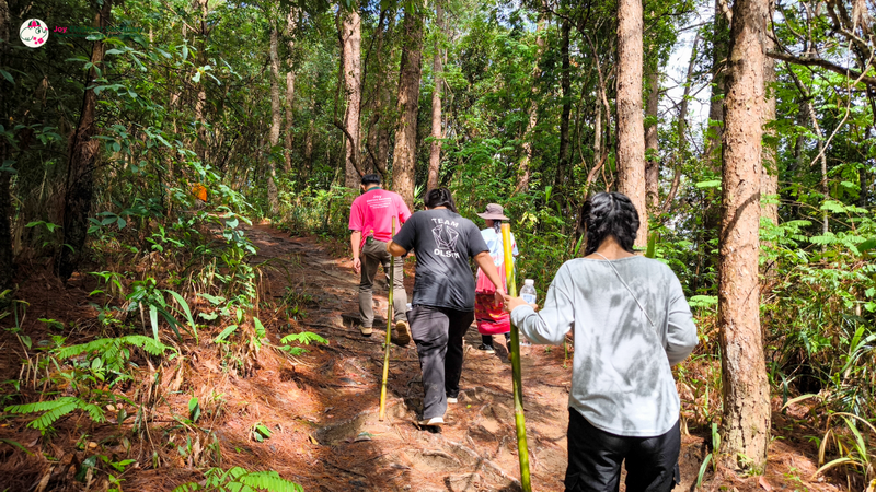 Group of hikers walking through a lush green forest on a dirt trail at Pha Dok Siew Nature Trail.