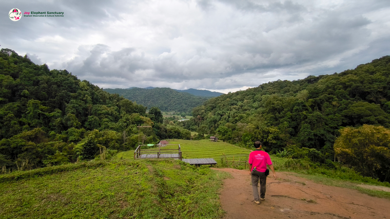 Scenic Valley Walk at Pha Dok Siew Nature Trail Person walking on a dirt path in a green valley with forested hills under cloudy sky at Pha Dok Siew Nature Trail.