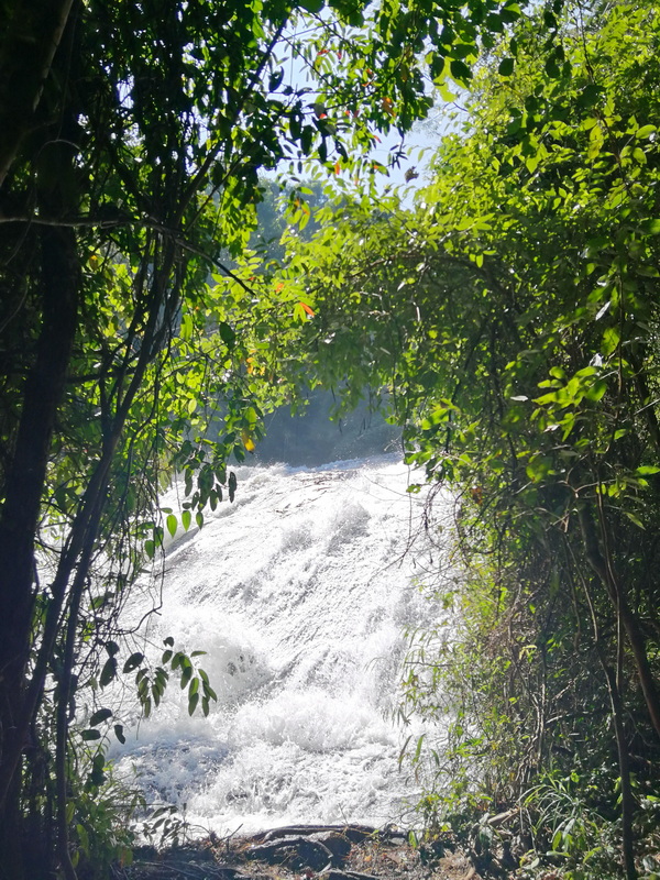 Waterfall flowing through lush greenery with sunlight shining through leaves at Pha Dok Siew Nature Trail.