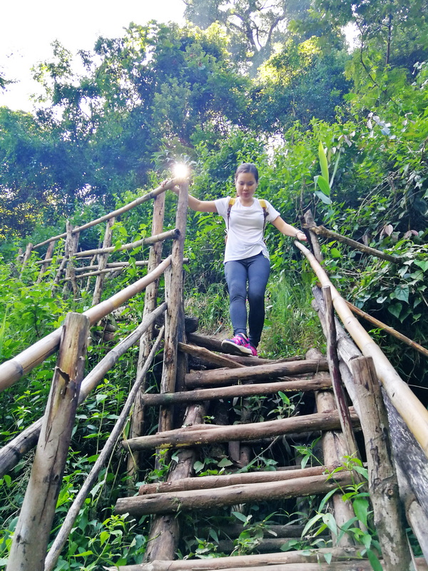 Woman walking on a bamboo-railed wooden trail surrounded by lush forest greenery at Pha Dok Siew Nature Trail.