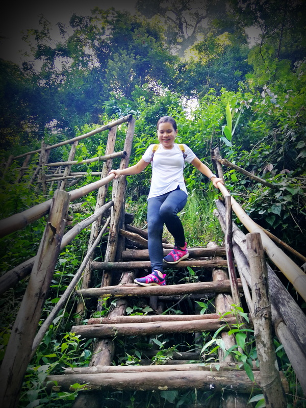 Woman balancing on a wooden ladder bridge amid lush green forest foliage at Pha Dok Siew Nature Trail.