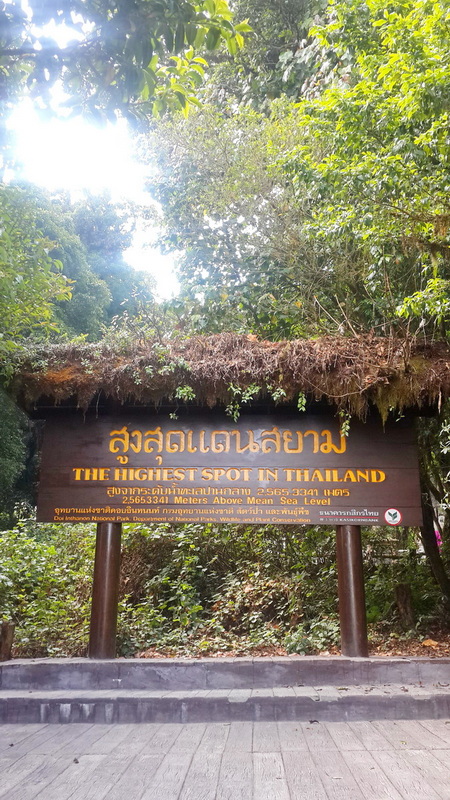Highest Point in Thailand Sign at Summit of Doi Inthanon Signboard marking Thailand's highest spot amidst dense green trees at Summit of Doi Inthanon.