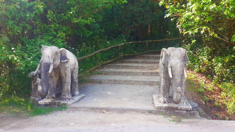 Stone elephant sculptures at the start of a forest trail with steps and green trees around at Summit of Doi Inthanon.