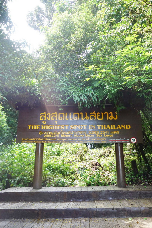 Signboard surrounded by dense green trees with sunlight coming through leaves at Summit of Doi Inthanon.