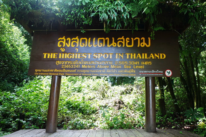 Signboard in a dense green forest showing Thailand's highest point at Doi Inthanon at Summit of Doi Inthanon.