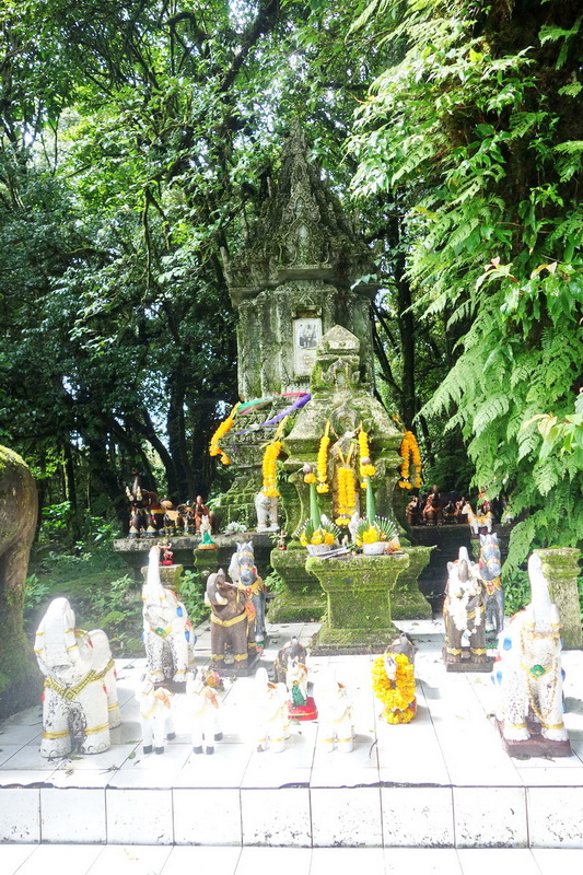 Small statues and shrine offerings amidst dense green foliage and moss-covered structures at Summit of Doi Inthanon.