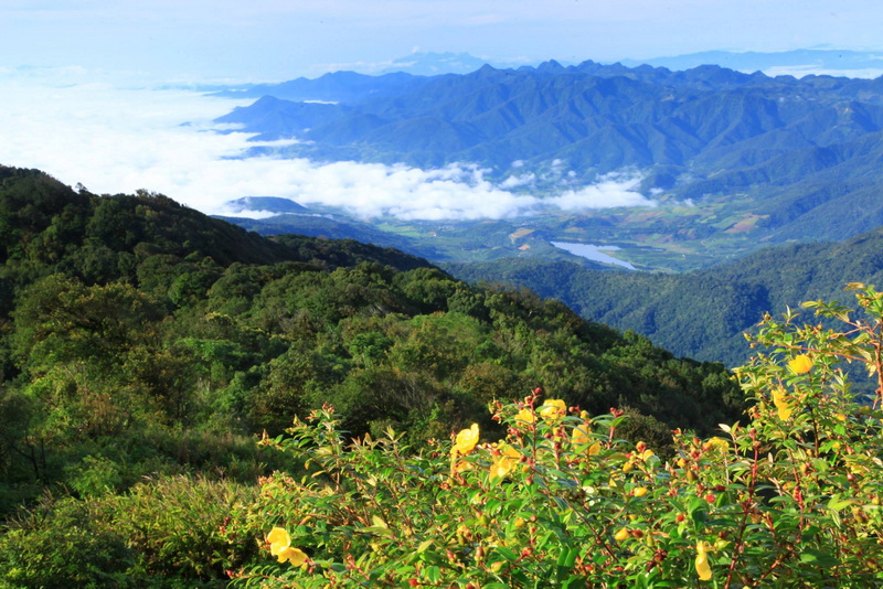 Mountain View over Doi Pha Hom Pok at Doi Pha Hom Pok National Park Scenic mountain landscape with clouds in valleys and lush green peaks at Doi Pha Hom Pok National Park.